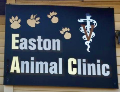 Easton Animal Clinic +1-732-246-2680 https://www.eastonanimalclinic.com Somerset, NJ, USA