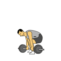 Huge Animated Emojis, IsOnlineForMe.Com, ForMe, The mE Network , Lift Work-Out