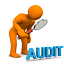 Election Audits