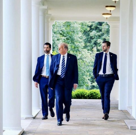 Trump Sons Are High Achievers