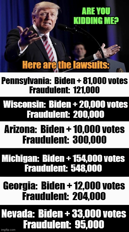 Election Audits, Lawsuits from Election Audits