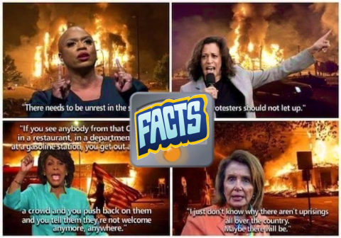 Socialist_Democrats-Instigators Violence Riots