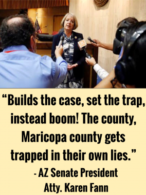 Arizona Election Audit Karen Fann