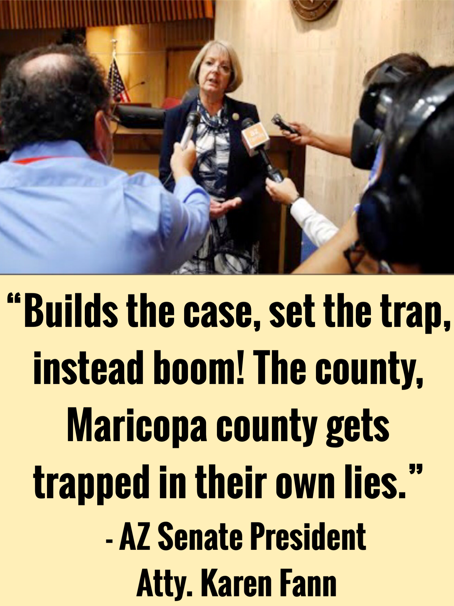 Arizona Election Audit Karen Fann