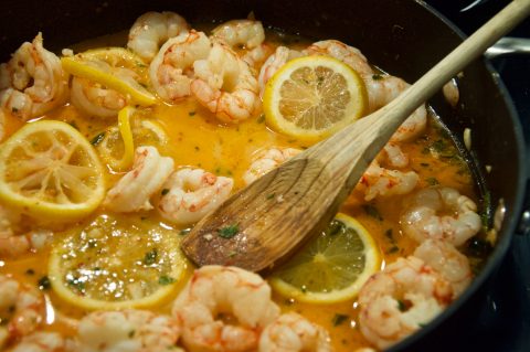 ForMe, Feed mE Host, Shrimp Scampi