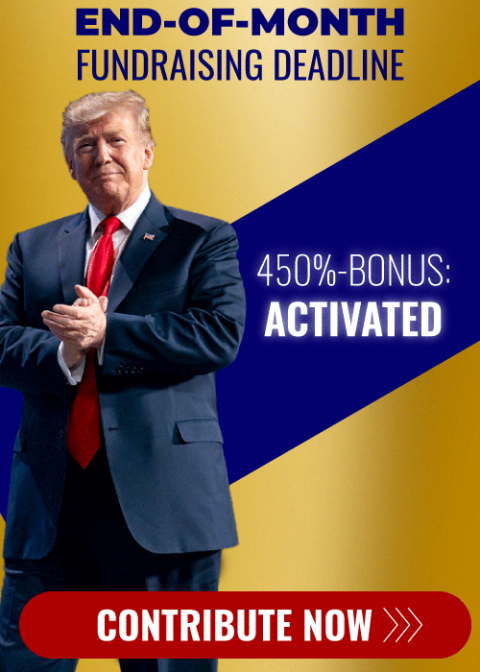 Donate To Save America ASAP