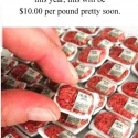 Inflation Under Biden