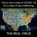 Sex Trafficking, Child Exploitation