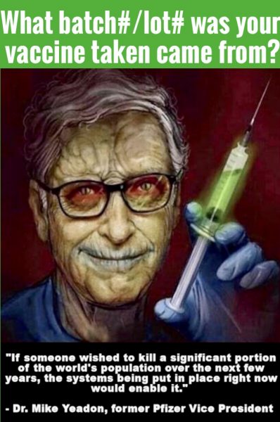 Bill Gates Psychotic