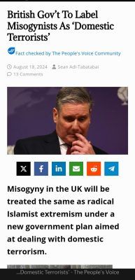 Misogyny, Domestic Terrorism