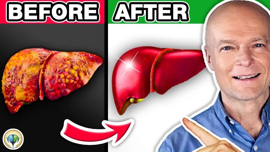 Liver Repair, Liver Care