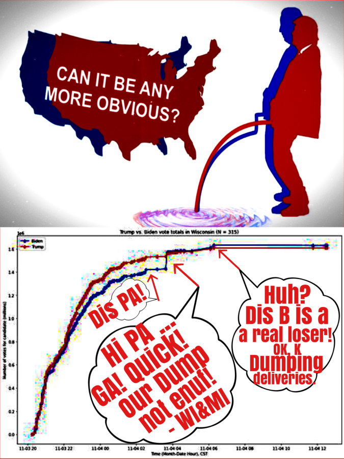 Biden Did Not Win