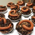 Eat Worms And Bugs