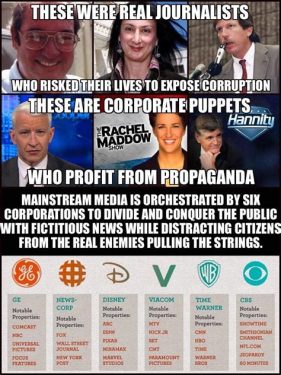 6 Corporations Control MSM