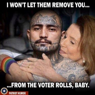 Democrat Migrant Voters