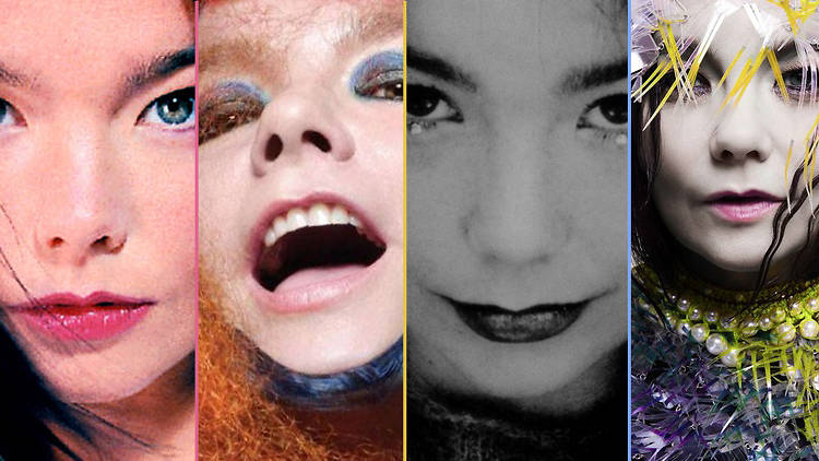 Bjork Photos