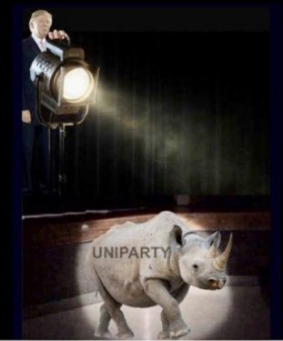 Globalists Own Uniparty