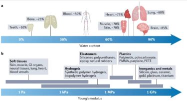 Hydrogel interfaces merging humans machines