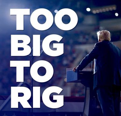 Too Big To Rig, Vote Trump