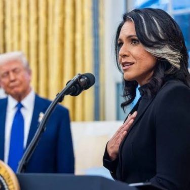 Tulsi Gabbard